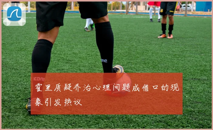 霍里质疑乔治心理问题成借口的现象引发热议