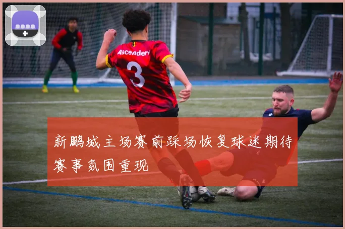 新鹏城主场赛前踩场恢复球迷期待赛事氛围重现